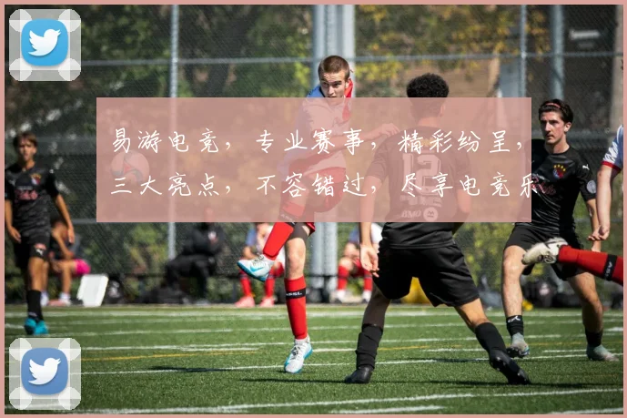易游电竞，专业赛事，精彩纷呈，三大亮点，不容错过，尽享电竞乐趣