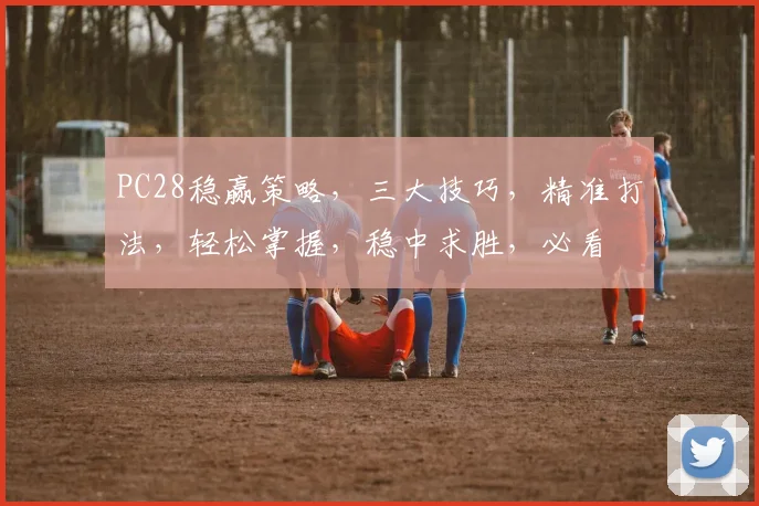PC28稳赢策略，三大技巧，精准打法，轻松掌握，稳中求胜，必看